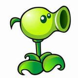 武汉刘德华12123头像