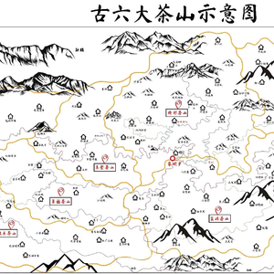 箐中古树CEO老宋头像