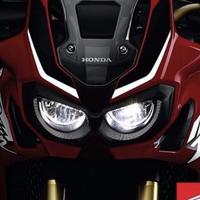 大飞57522947头像