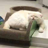 山色酿酒头像