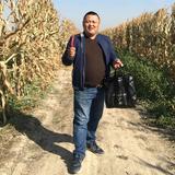 用户段志辉头像