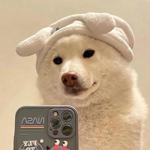煎饼狗子头像