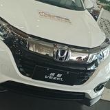 SGL维一头像