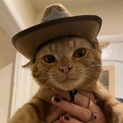 观南107的个人资料头像