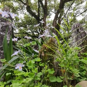 木木爱钱钱头像