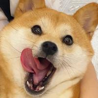 用户9013234847967头像