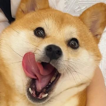 用户9013234847967头像