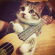 人鱼东的个人资料头像