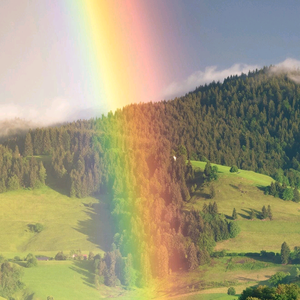 幸运Rainbow头像