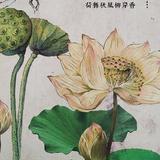 秋风萧瑟we头像