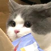 21310的个人资料头像