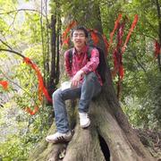 叶强的个人资料头像