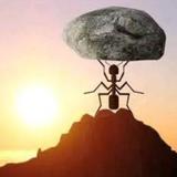 非凡生活家7s9头像