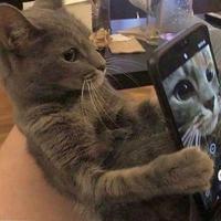 小智的艾八头像