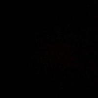 用户7324297819489头像