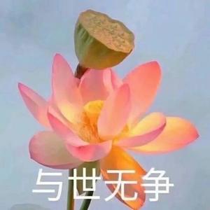 铁柱居士头像