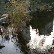 shadow1477119013824的个人资料头像