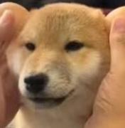 atiror的个人资料头像