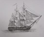 RayS的个人资料头像