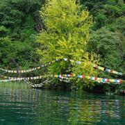 小林克的个人资料头像