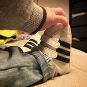 OcO的个人资料头像