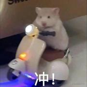 小麻农的个人资料头像