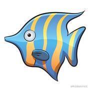 blufish的个人资料头像