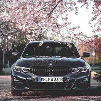 用户9717017317399头像