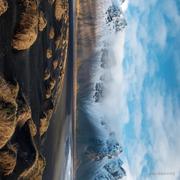 Hamburger的个人资料头像