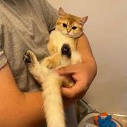 用户5487342902448的个人资料头像