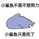 北极的光0628头像