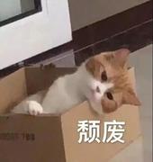 前端小彩笔的个人资料头像