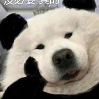 速腾桌越版车主头像