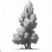 vvho的个人资料头像