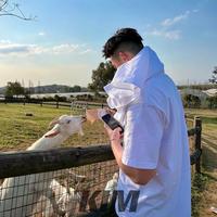 七月的风6175头像