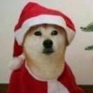 Bay同志的个人资料头像