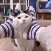 yyue的个人资料头像