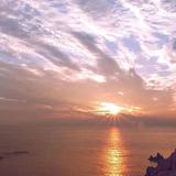 用户263860625546头像