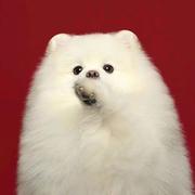 alawaystou的个人资料头像