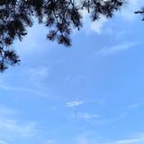 洋洋58282头像