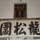 解忧龙松围头像