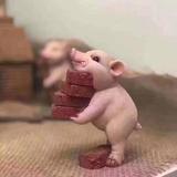 猪八戒学做菜头像