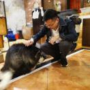 光_阿峰的个人资料头像