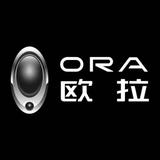 广州有道ORA欧拉店头像