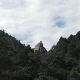 小事情722头像