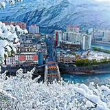 忘情天涯815头像