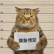 AliasL的个人资料头像