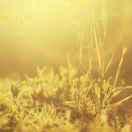 123重名了59716的个人资料头像