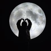 網南笙的个人资料头像