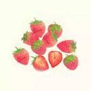 施媛婷的个人资料头像